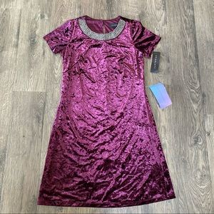 NWT Scarlett wine velvet beaded neckline dress